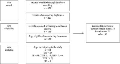 Behavioral Changes Under Levetiracetam Treatment in Dogs